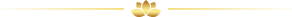 div